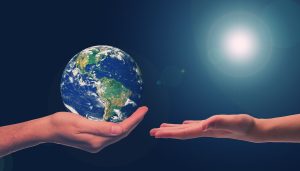 Cultivo de Hongo Ostra: Una Solución Sostenible para Combatir el Cambio Climático.