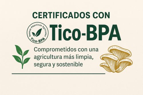 ¡Certificados con Tico-BPA!